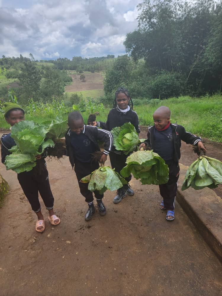 WhatsApp Image 2025 02 18 At 13.12.23 (2)